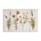 Stupell Industries Wild Flower Sprigs Canvas Wall Art Design by Alex Black